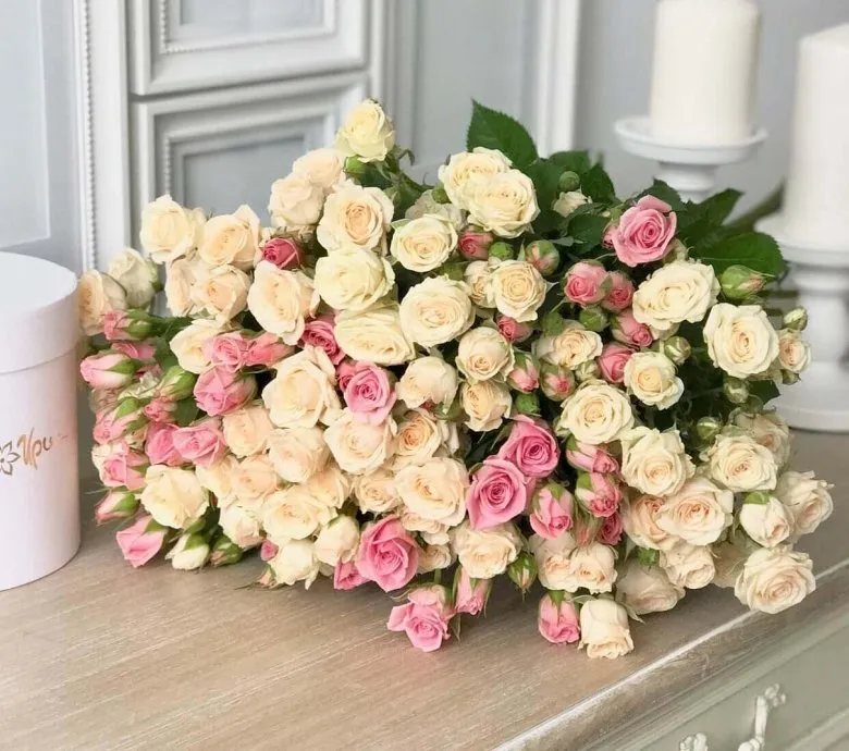 Цветы розы кустовые