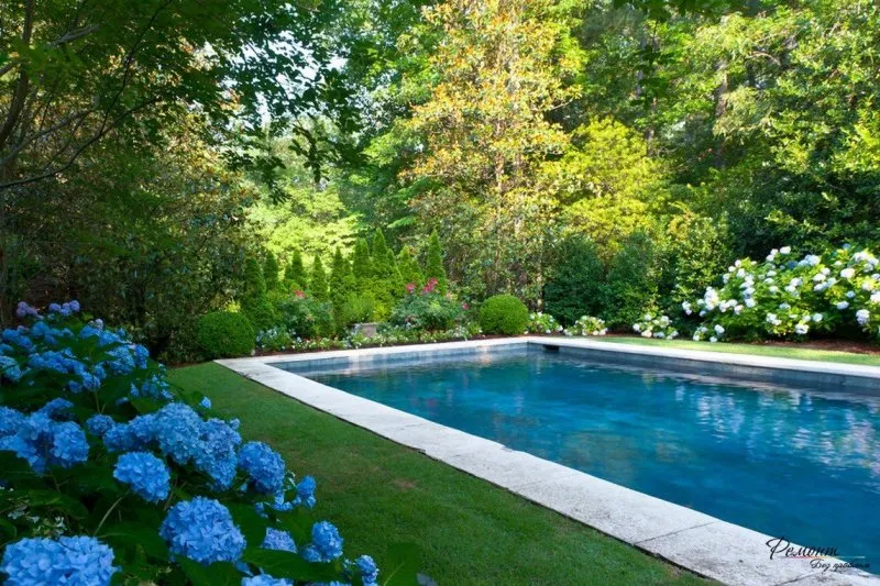 Красивый сад с бассейном
