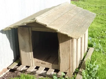 Сельские будки для собак