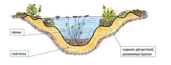 Как сделать дно под растения правильно. Обустройство пруда будет проще, если сделать уступы на разных уровнях, разложить камни, насыпать в них немного грунта 