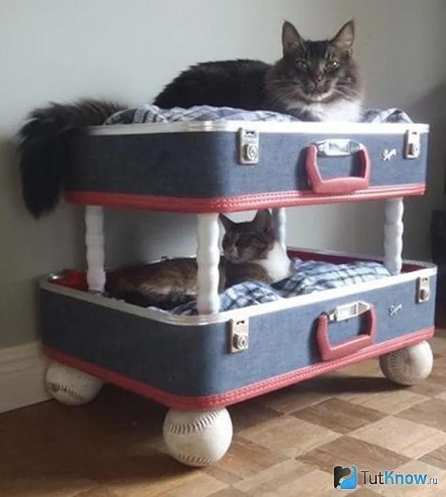 Двухъярусная кошачья кровать из чемоданов