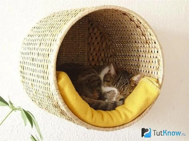 Лежанка из старой корзины