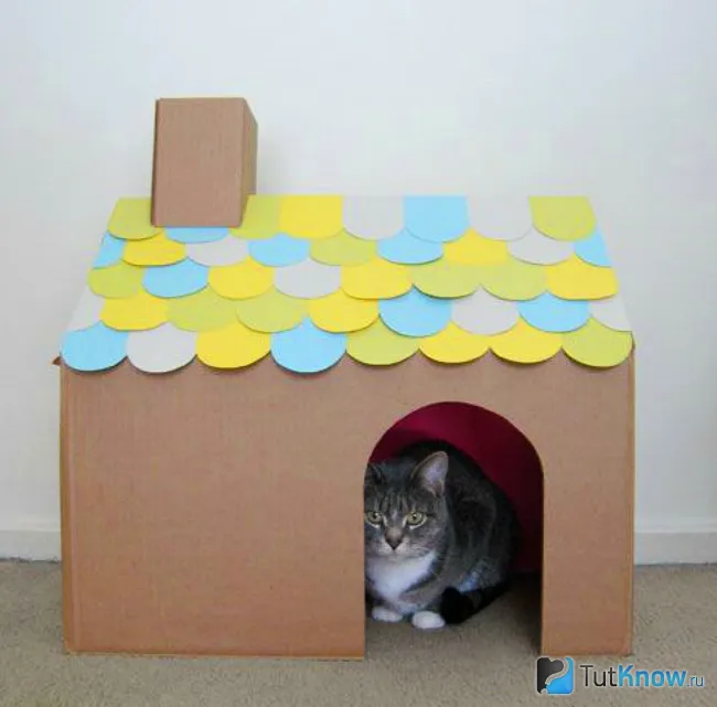 Кошачий домик из простой коробки